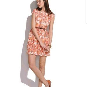Madewell Watercolor Painted Lacebloom Dress Size 4 EUC
